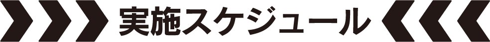 実施スケジュール